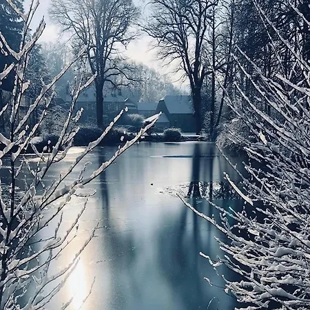 Castle In With Pond Garden Ferrières