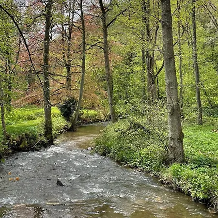 Castle In With Pond Garden * Ferrières