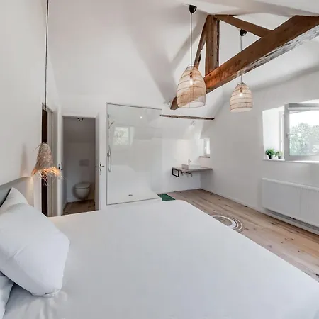 Castle In With Pond Garden *